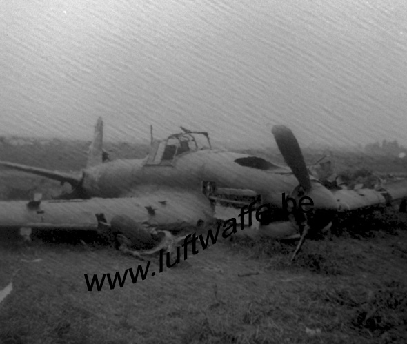 SP-Il-2 (WL262) (2)