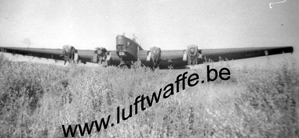 SP-TB-3 (WL317)