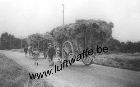 F-56100 Lorient. Chariot (WL153)