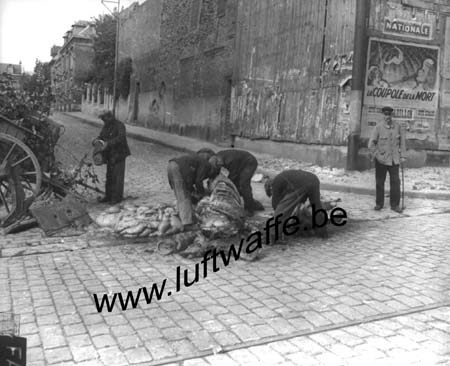 F-02100 St Quentin. 3.9.44. Dépeçage d'un cheval (AR14)